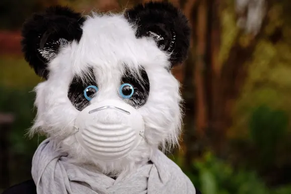 SlotsWin Casino Podrška